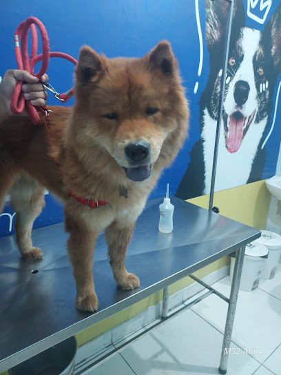 Clínica Veterinária Apaixonados por Quatro Patas - Unidade Caxias 2 (Centro) em Duque de Caxias - RJ