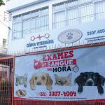 Imagem ilustrativa da empresa Clínica Veterinária Armazém Quatro Patas em Porto Alegre - RS