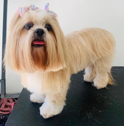 Clínica Veterinária AU QUE MIA VET CARE em Rio de Janeiro - RJ