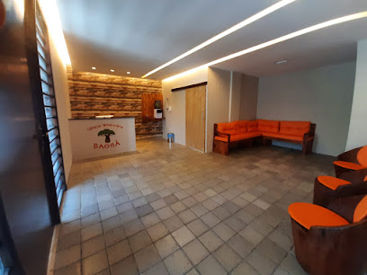 Clínica Veterinária Baobá - Atendimento em Domicílio e Ambulatorial em Camaragibe - PE