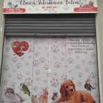 Imagem ilustrativa da empresa Clínica Veterinária Belém - Jd. São João - Guarulhos em Guarulhos - SP