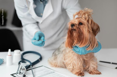 Imagem ilustrativa da empresa Clínica Veterinária Belo Horizonte (Prado) em Belo Horizonte - MG