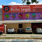 Imagem ilustrativa da empresa Clínica Veterinária Bicho Legal em Goiânia - GO