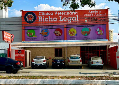 Clínica Veterinária Bicho Legal em Goiânia - GO