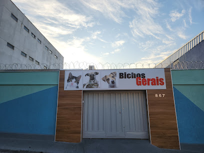 Imagem ilustrativa da empresa CLÍNICA VETERINÁRIA BICHOS GERAIS UNIDADE PATRIARCA em Belo Horizonte - MG