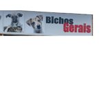Imagem ilustrativa da empresa CLÍNICA VETERINÁRIA BICHOS GERAIS UNIDADE PITANGUI em Belo Horizonte - MG