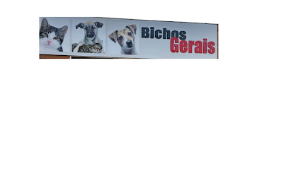 Imagem ilustrativa da empresa CLÍNICA VETERINÁRIA BICHOS GERAIS UNIDADE PITANGUI em Belo Horizonte - MG