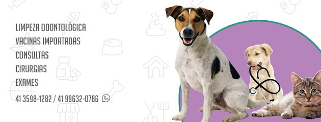 Clínica Veterinária Bigode de Bicho em Curitiba - PR