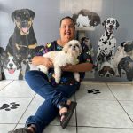 Imagem ilustrativa da empresa Clínica Veterinária Caes e Gatos | Banho e Tosa em Campo Grande - MS