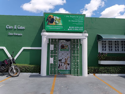 Clínica Veterinária Cães e Gatos LTDA em Fortaleza - CE