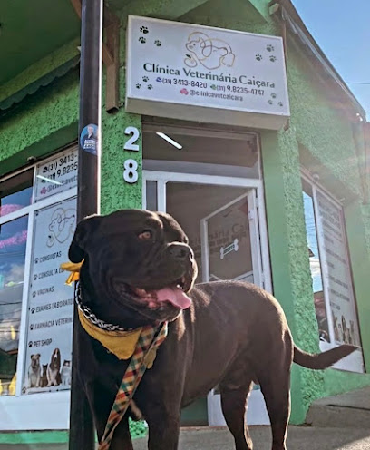 Imagem ilustrativa da empresa Clínica Veterinária Caiçara em Belo Horizonte - MG