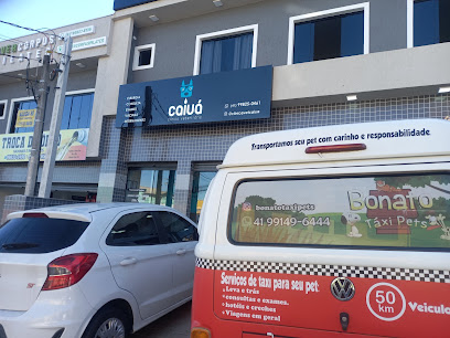 Clínica Veterinária Caiuá em Curitiba - PR