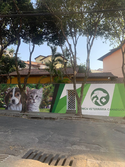 Imagem ilustrativa da empresa Clínica Veterinária Camargos em Belo Horizonte - MG