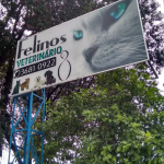 Imagem ilustrativa da empresa Clínica Veterinária Campesina em Osasco - SP