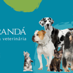 Imagem ilustrativa da empresa Clínica Veterinária Carandá em Campo Grande - MS