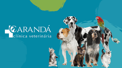 Clínica Veterinária Carandá em Campo Grande - MS