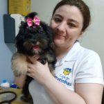 Imagem ilustrativa da empresa Clínica Veterinária Casa de Patinhas em Fortaleza - CE