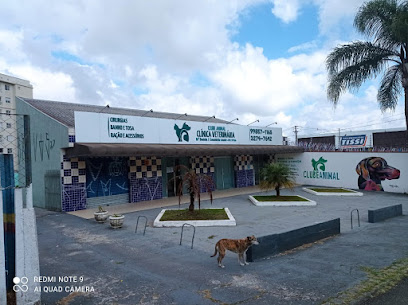 Clínica Veterinária Clube Animal em Curitiba - PR