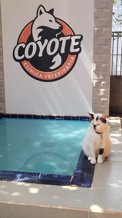 Clínica Veterinária Coyote em Goiânia - GO