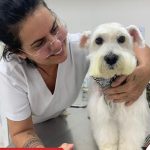 Imagem ilustrativa da empresa Clínica Veterinária Criar e Cuidar em Maceió - AL