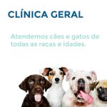 Imagem ilustrativa da empresa Clínica Veterinária Da Vila em São Paulo - SP