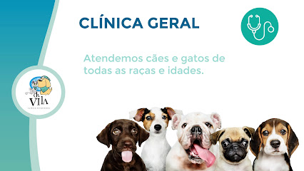 Clínica Veterinária Da Vila em São Paulo - SP