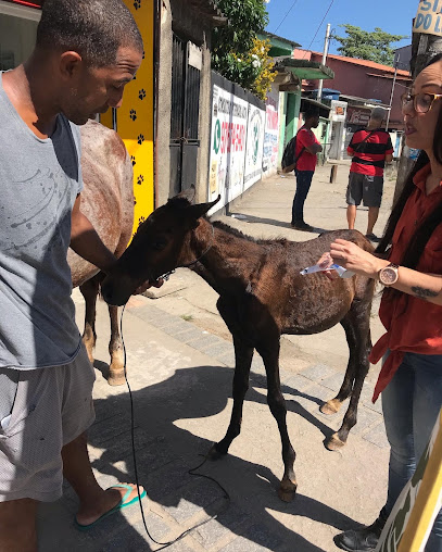Clínica Veterinária de Austin em Nova Iguaçu - RJ