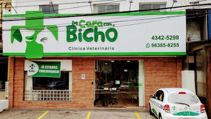 Imagem ilustrativa da empresa Clínica Veterinária De Cara Com O Bicho em São Bernardo do Campo - SP