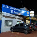 Imagem ilustrativa da empresa Clínica Veterinária de Icoaraci Animalia em Belém - PA