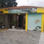 Imagem ilustrativa da empresa Clínica Veterinária Doctorvet e Pet Shop em Curitiba - PR
