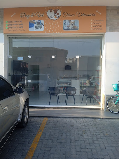 Clínica Veterinária - Dog Vet em Fortaleza - CE