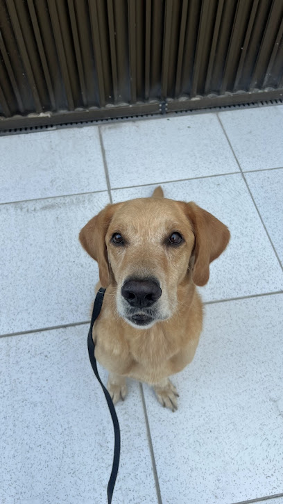 Clínica Veterinária Dr. Stenio Mourão em Fortaleza - CE