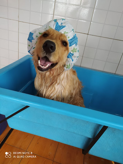 Clínica Veterinária Dra Dorcas Diniz em Osasco - SP