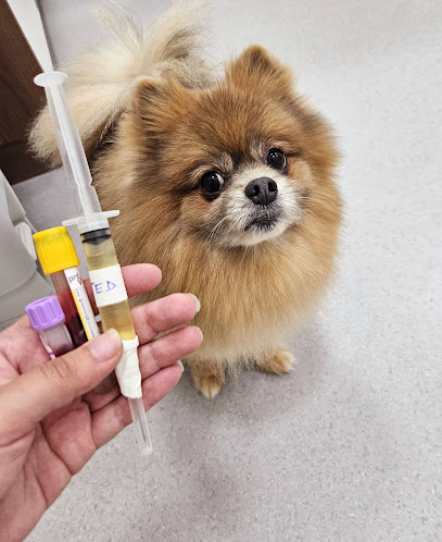 Clínica Veterinária Dra. Mei em Curitiba - PR