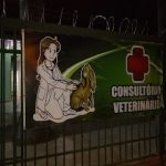 Imagem ilustrativa da empresa Clínica Veterinária Dra. Suzane em Goiânia - GO