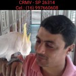 Imagem ilustrativa da empresa Clínica Veterinária e Cirurgia de Animais Silvestres - Gustavo Fazio em Ribeirão Preto - SP