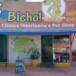 Imagem ilustrativa da empresa Clínica Veterinária É o bicho em Goiânia - GO