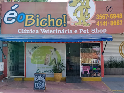 Clínica Veterinária É o bicho em Goiânia - GO