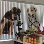 Imagem ilustrativa da empresa Clínica Veterinária e Pet Shop Animania em Campo Grande - MS