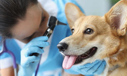Clínica Veterinária e Pet Shop | Empório do Pet em Fortaleza - CE