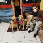Imagem ilustrativa da empresa Clínica Veterinária e Pet Shop Ponto Animal em Osasco - SP