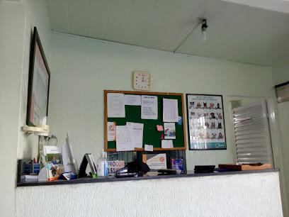 Clínica Veterinária Estação dos Bichos em Goiânia - GO