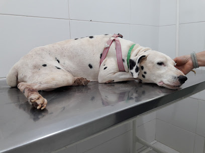 Clínica Veterinária Filhotes e Mascotes – Atendimento 24h em Ribeirão Preto - SP