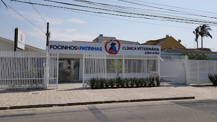 Clínica Veterinária Focinhos e Patinhas em Curitiba - PR