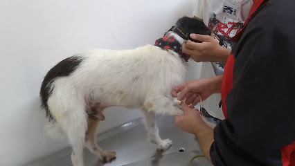 Clínica Veterinária Franciscão Guarulhos em Guarulhos - SP