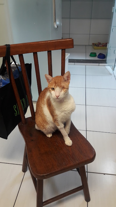 Clínica Veterinária Ipiranga em São Paulo - SP