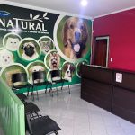 Imagem ilustrativa da empresa Clínica Veterinária Leonardo S.S. Fernandes em Ribeirão Preto - SP