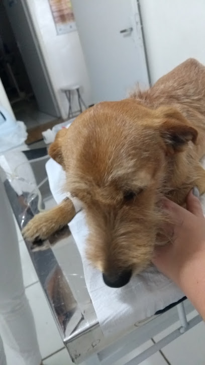 Clínica Veterinária LiVet em Campinas - SP