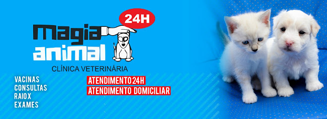 Clínica Veterinária Magia Animal em Curitiba - PR