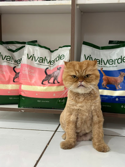 Clínica Veterinária Mania de Gato em Campo Grande - MS